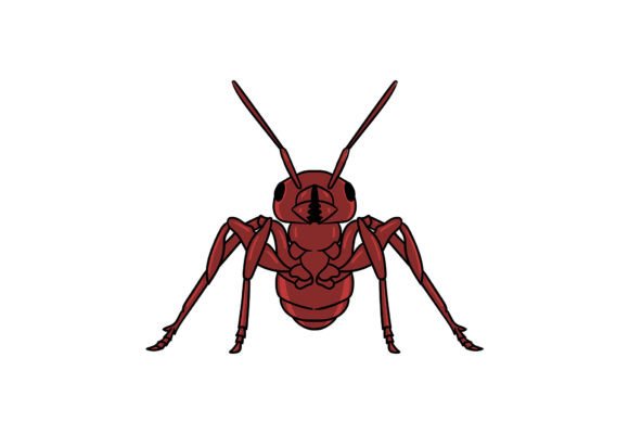 Ant Clipart Illustration: A Versatile Graphic Design Element